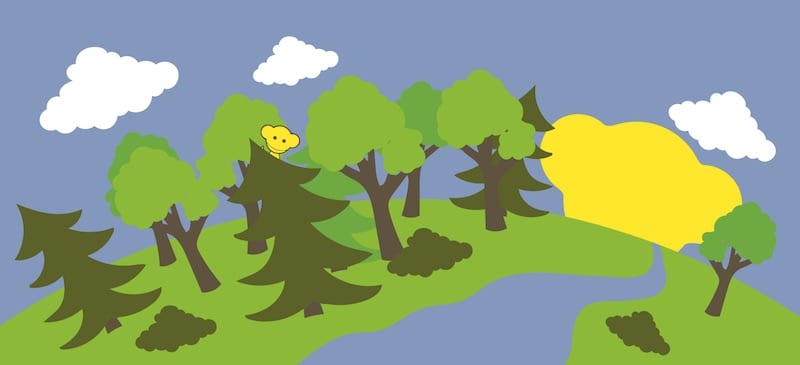 Skogen ur ett personligt perspektiv & skogsvänliga tips